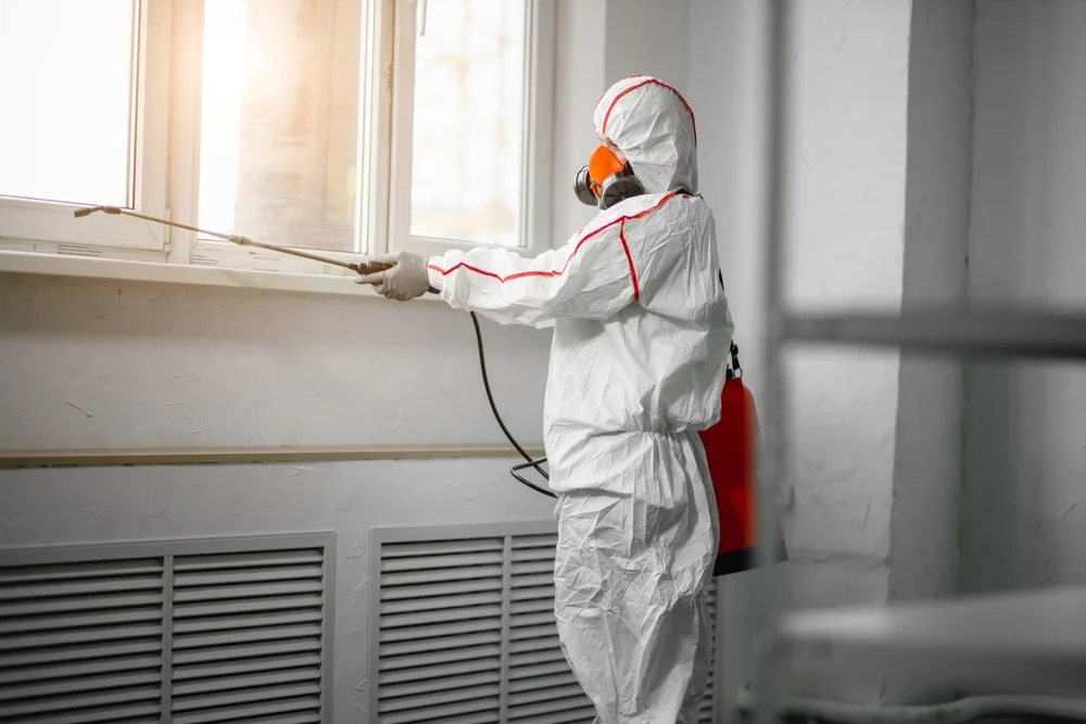 Professional mold remediation services in Owens Cross Roads, AL